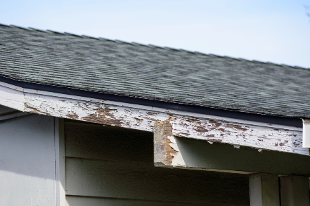 Fascia Repair & Replacement