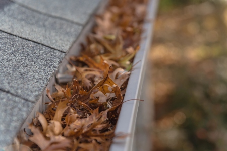Gutter Cleaning